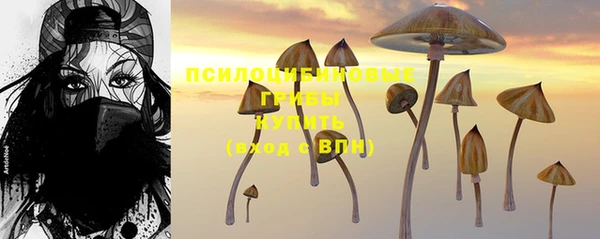ALPHA PVP Покачи